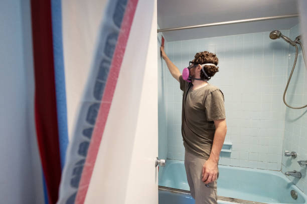 Best Real Estate Mold Inspection  in Hartsville, SC