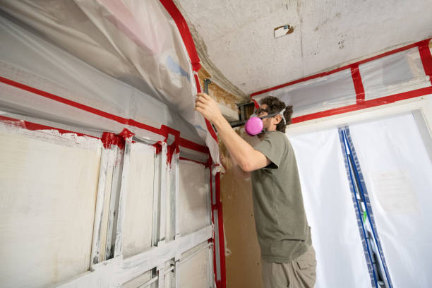 Best Post-Construction Mold Inspection  in Hartsville, SC