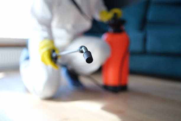 Best Mold Remediation for Healthcare Facilities  in Hartsville, SC